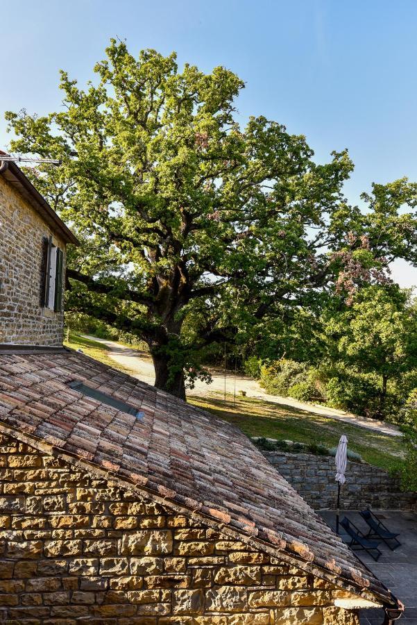 L'Abbraccio Della Quercia Appartement Momjan Buitenkant foto