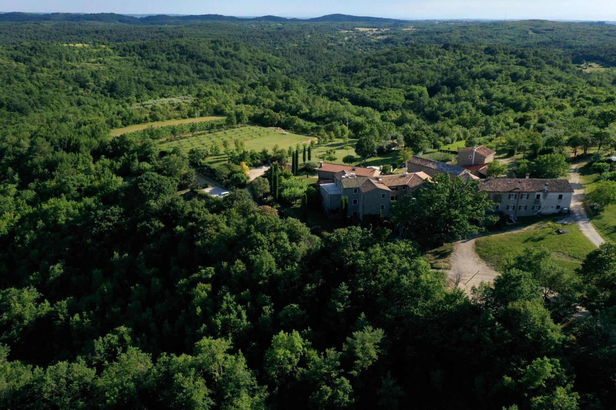 L'Abbraccio Della Quercia Appartement Momjan Buitenkant foto